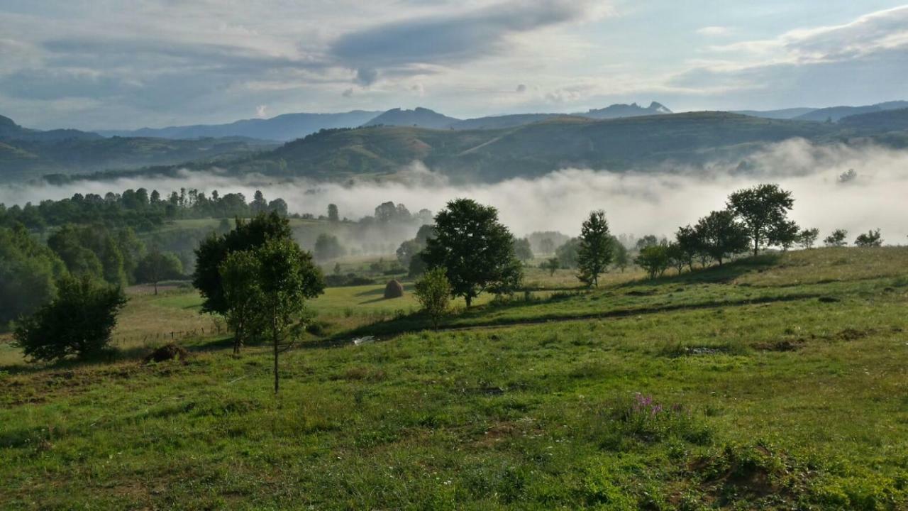 Affittacamere Casa Glod Glod  Esterno foto