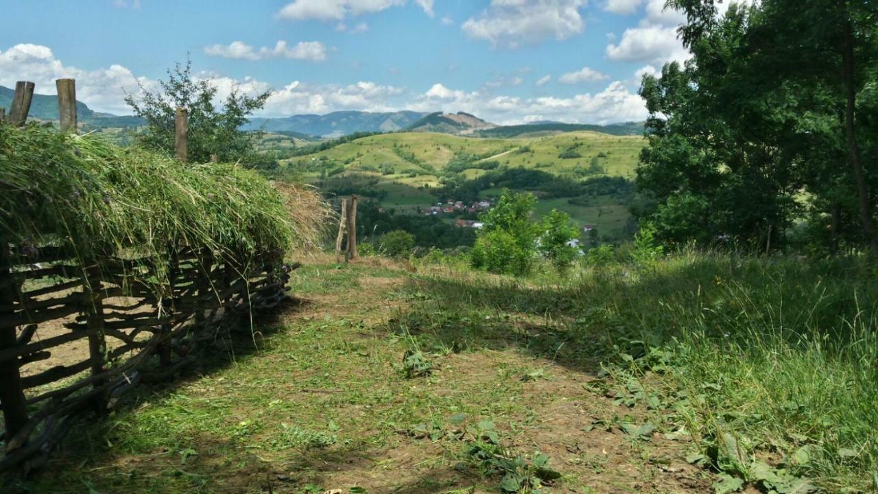 Affittacamere Casa Glod Glod  Esterno foto